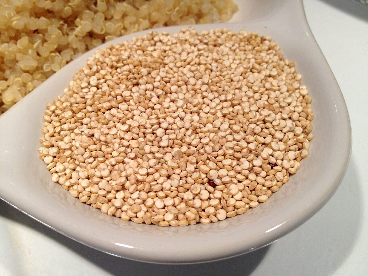 藜麥的營養價值、蛋白質知多少？帶你認識「超級食物」藜麥