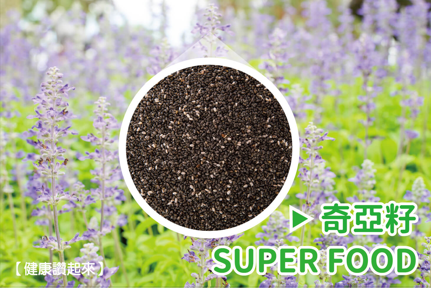 奇亞籽Chia Seeds～21世紀超級食物Super Food